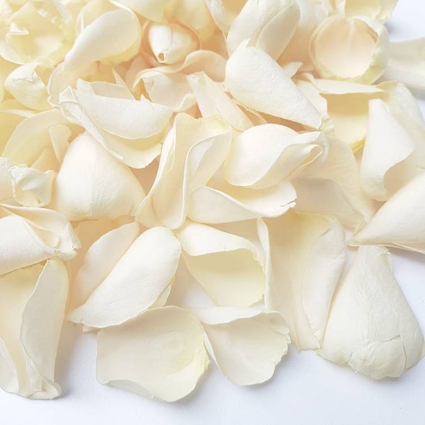 Ivory Rose Petal,  Freeze Dry Flower, Wedding Confetti