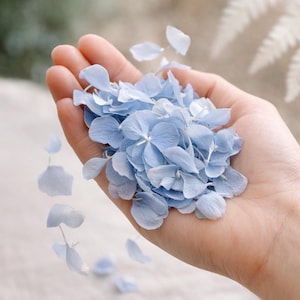 Dusty Blue Hydrangea Petal, Natural Meadow and Wild, Wildflower Wedding Confetti