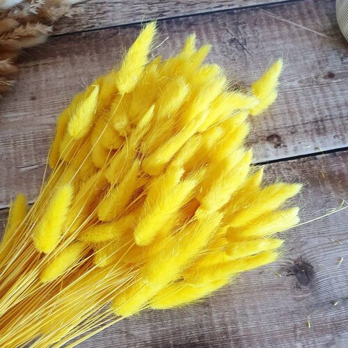 Pink Bunny Tails Dried Flowers Rustic Home Wedding Decor Etsy UK