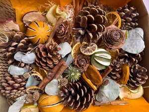 24 Marrons Artificiels En Polyéthylène - Décor Réaliste Pour Décoration Maison, Fêtes, Noël, Photographie - Aspect Naturel