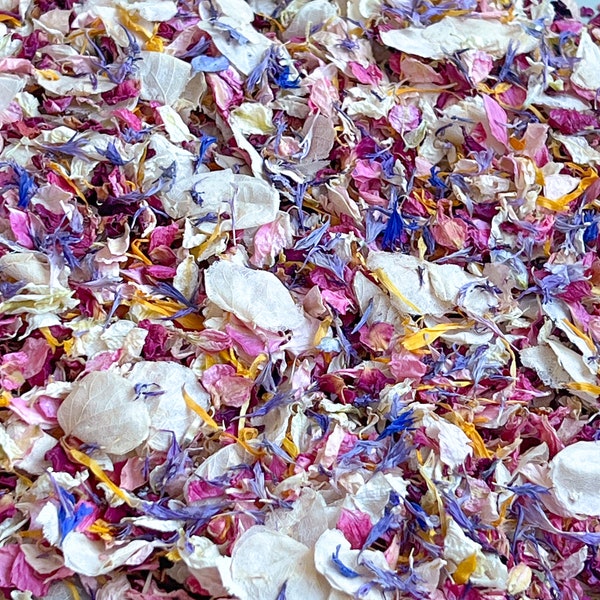 Dried Petal Confetti White and Pink Etsy — free download