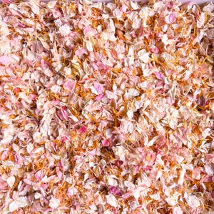 Mix di petali di fiori secchi Summer Salsa per matrimoni primaverili/estivi, coriandoli biodegradabili per matrimoni romantici