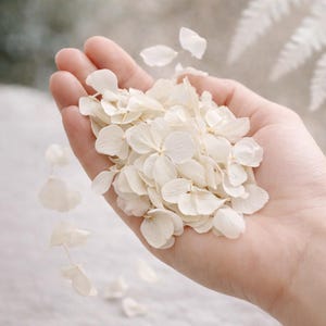 Off White Hydrangea Petal, Natural Meadow and Wild, Wildflower Wedding Confetti