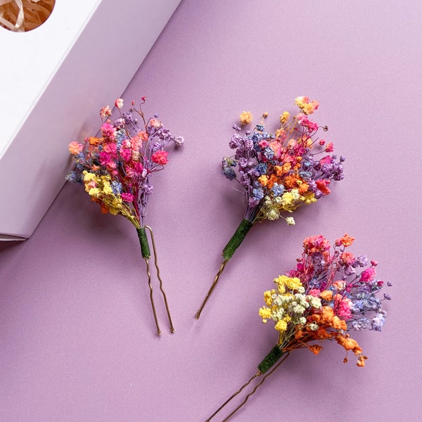 Épingles à cheveux fleurs séchées de mariage arc-en-ciel gypsophile, accessoire de cheveux de mariage coloré, morceau de cheveux de mariée et de demoiselle d'honneur lunatique