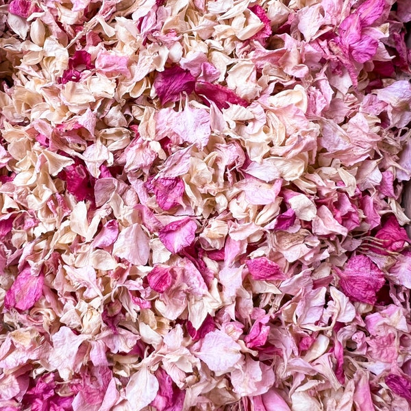 Pink Ombre Dream Dried Flower Petal Mix, 100% Natural & Biodegradable Petal Confetti for Weddings, Pink Romantic Wedding Confetti