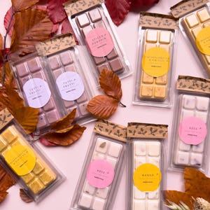 Puede incluir: Una selecci&oacute;n de barras de cera perfumada en envases transparentes, cada una con una etiqueta de aroma diferente, incluyendo "Spiced Pumpkin", "Tutti Frutti", "Pineapple Nectar & Hibiscus", "Rose" y "Mango". El fondo presenta hojas de oto&ntilde;o.