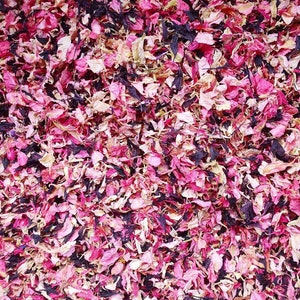 Pinky Autumn Dried Flower petal mix - Wedding confetti - Biodegradable