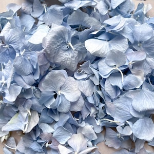 Dusty Blue Hortensie Blütenblatt, natürliche echte Blume Hochzeit Confetti