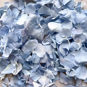 Dusty Blue Hydrangea Petal, Natural Real Flower Wedding Confetti