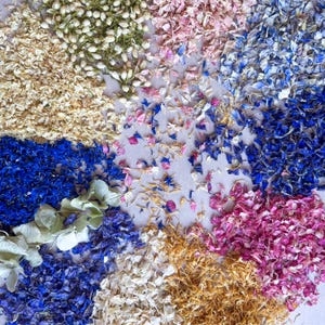 Mix di petali di fiori secchi naturali: oltre 50 varietà per coriandoli, artigianato e decorazioni per matrimoni
