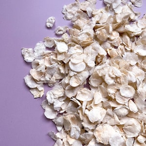 Coriandoli di petali di fiori secchi naturali per matrimonio - Decorazione classica avorio/crema -