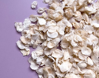 Coriandoli di petali di fiori secchi naturali per matrimonio - Decorazione classica avorio/crema -