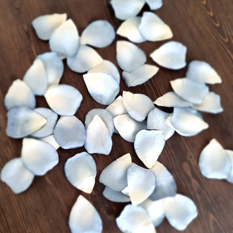 dusty blue rose petals