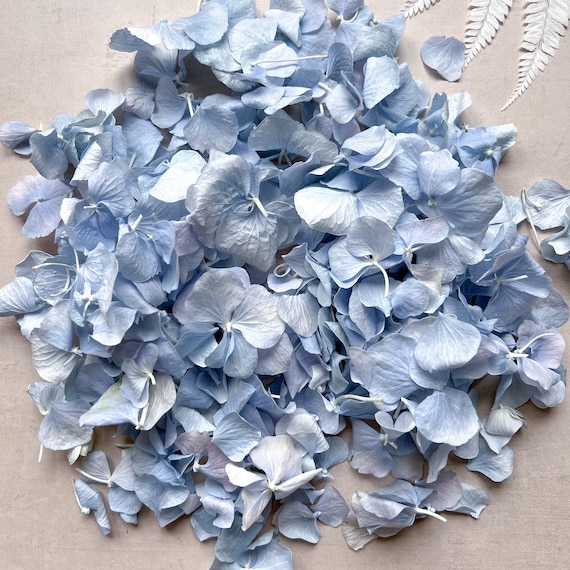 Something Blue Dried Flower Petal Mix Biodegradable Confetti – The