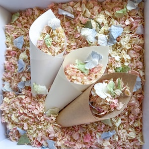 Coriandoli di fiori selvatici arcobaleno pastello, fiori veri di ortensia - Coriandoli da matrimonio classici, vintage, romantici, stravaganti - Biodegradabili naturali