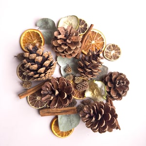Puede incluir: Vista cenital de una composici&oacute;n decorativa con pi&ntilde;as marrones, rodajas de naranja y lim&oacute;n secas, palitos de canela y hojas de eucalipto verdes, sobre fondo blanco. Tema natural y oto&ntilde;al.