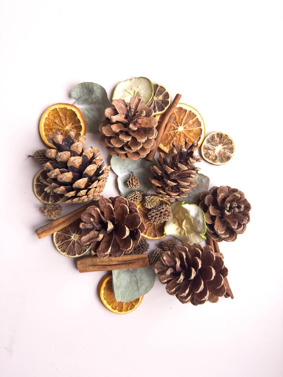 Dried Fruit Decor: Autumn Christmas Wreath Making Kit