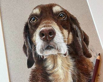 Personalised Pet Portrait: Hand-Drawn Colored Pencil Dog Art