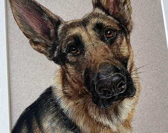 Hand Drawn Pet portrait custom dog art