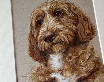 Retrato personalizado de mascota: Dibujo de perro a lápiz de color
