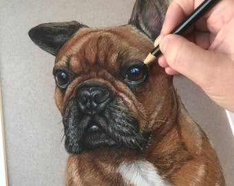 Hand Drawn Pet Portrait Custom Dog Art