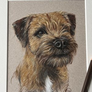 Puede incluir: Retrato a l&aacute;piz de color de un perro Border Terrier, enmarcado en blanco y montado sobre un fondo neutro. El perro tiene pelaje marr&oacute;n y canela, una nariz negra y una mancha blanca en el pecho. Un l&aacute;piz marr&oacute;n descansa sobre el marco.