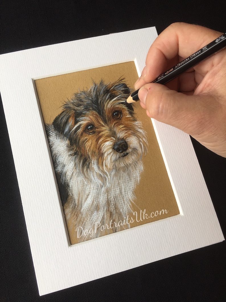 Pet portrait custom dog art