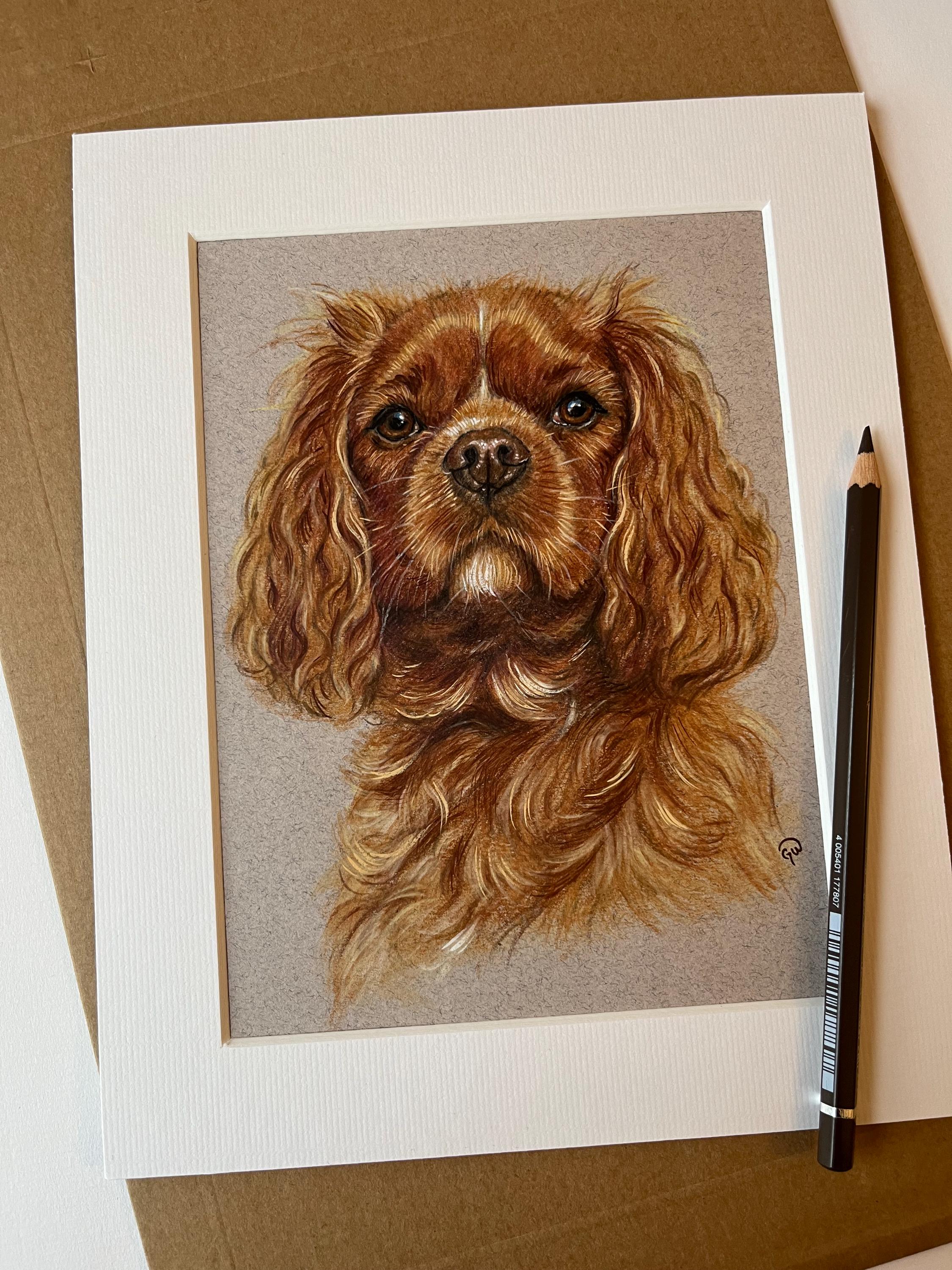 Hand Drawn Pet Portrait Custom Dog Art - Etsy