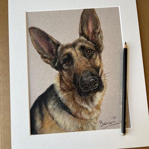 Puede incluir: Retrato a l&aacute;piz de color de un perro pastor alem&aacute;n. La obra de arte presenta la cabeza y los hombros del perro, con un enfoque en sus ojos expresivos y orejas erguidas. El pelaje del perro est&aacute; representado en tonos marrones, negros y beige, sobre un fondo neutro.