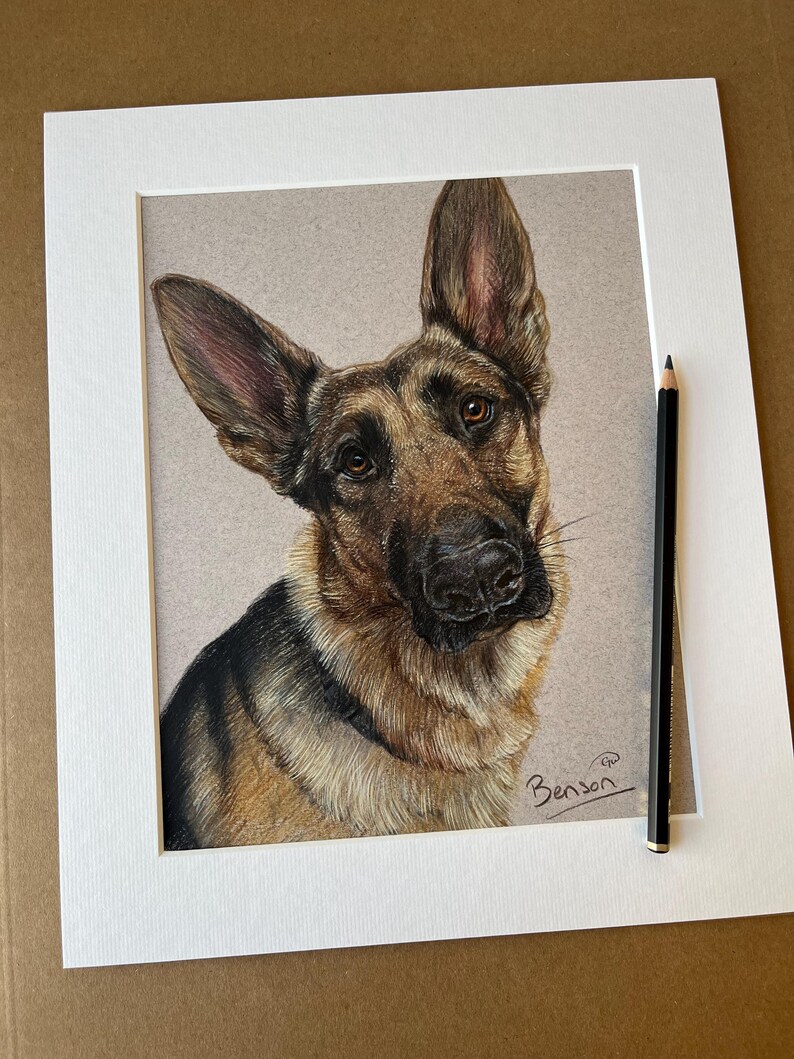 Puede incluir: Retrato a l&aacute;piz de color de un perro pastor alem&aacute;n. La obra de arte presenta la cabeza y los hombros del perro, con un enfoque en sus ojos expresivos y orejas erguidas. El pelaje del perro est&aacute; representado en tonos marrones, negros y beige, sobre un fondo neutro.