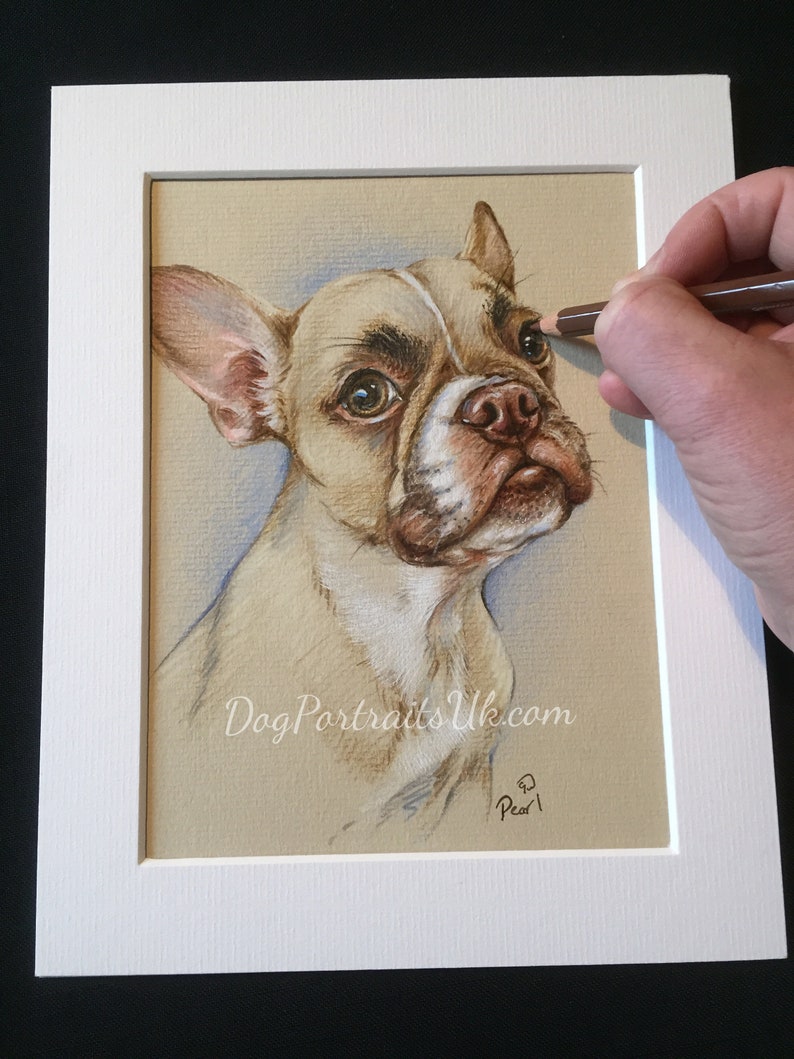 Pet portrait custom dog art
