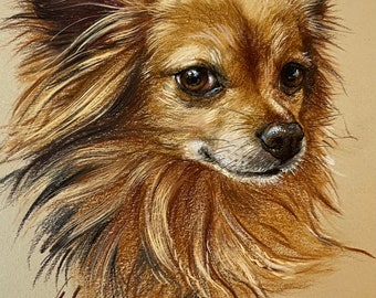 Pet portraits, custom hand drawn dog portrait sketch from photographs