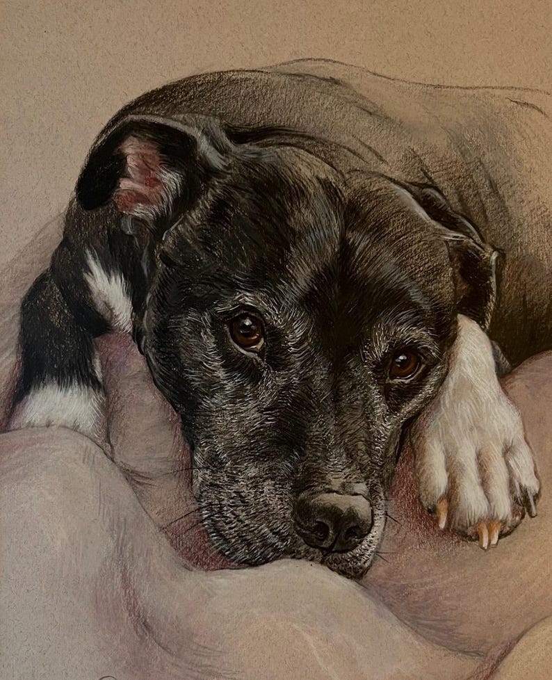 Puede incluir: Dibujo detallado de un perro blanco y negro con ojos marrones. El perro est&aacute; acostado, apoyando la cabeza sobre una superficie rosa claro. El pelaje del perro es detallado y el dibujo tiene una calidad suave y realista.