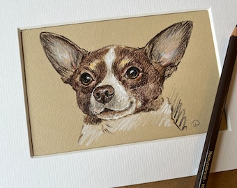 Custom Pet Sketch from your own photos  - inspired by the works of Lucy Dawson