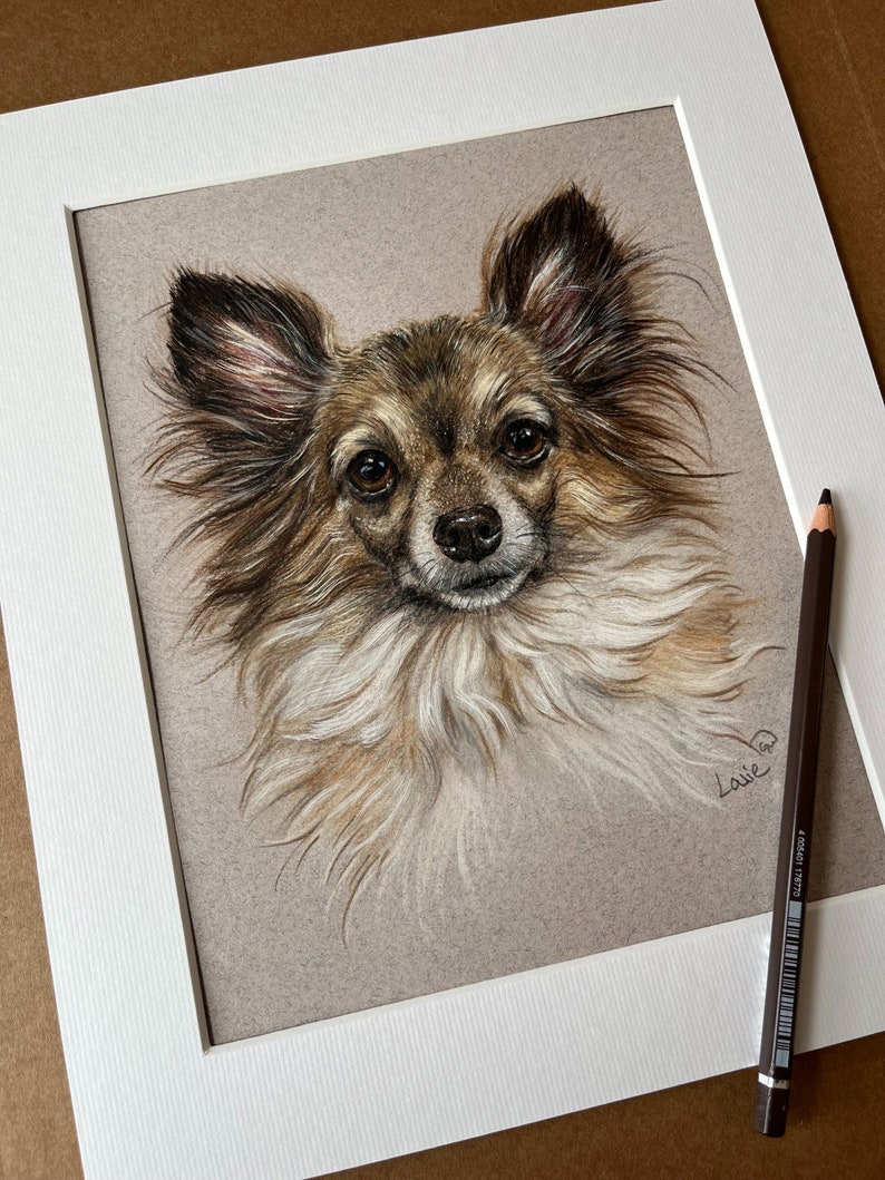 Puede incluir: Dibujo detallado a l&aacute;piz de color de un perro Chihuahua, enmarcado en un passe-partout blanco. El perro tiene pelaje marr&oacute;n y blanco, con ojos grandes y expresivos. Un l&aacute;piz de color marr&oacute;n descansa sobre el passe-partout.