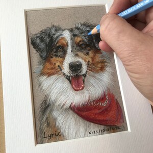 Puede incluir: Retrato detallado a l&aacute;piz de color de un perro, enmarcado en blanco. El perro tiene un pa&ntilde;uelo rojo y se llama "Lyric". El artista est&aacute; usando un l&aacute;piz de color azul para agregar detalles al pelaje del perro. El pelaje del perro es blanco, negro, marr&oacute;n y beige.