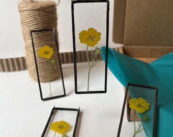 Buttercup Flower,  Yellow Flower Mini Window or Wall Decoration, Hand Painted