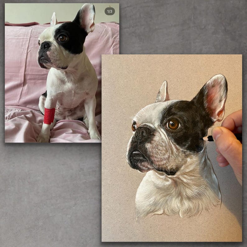Retrato personalizado de perro: arte de mascota pintado a mano a partir de una foto, regalo conmemorativo personalizado y recuerdo. imagen 4