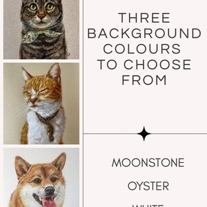 Puede incluir: Imagen vertical con tres retratos de mascotas: un gato atigrado con pajarita, un gato naranja y un perro Shiba Inu. El texto dice "TRES COLORES DE FONDO PARA ELEGIR" con opciones: Moonstone, Oyster y White.