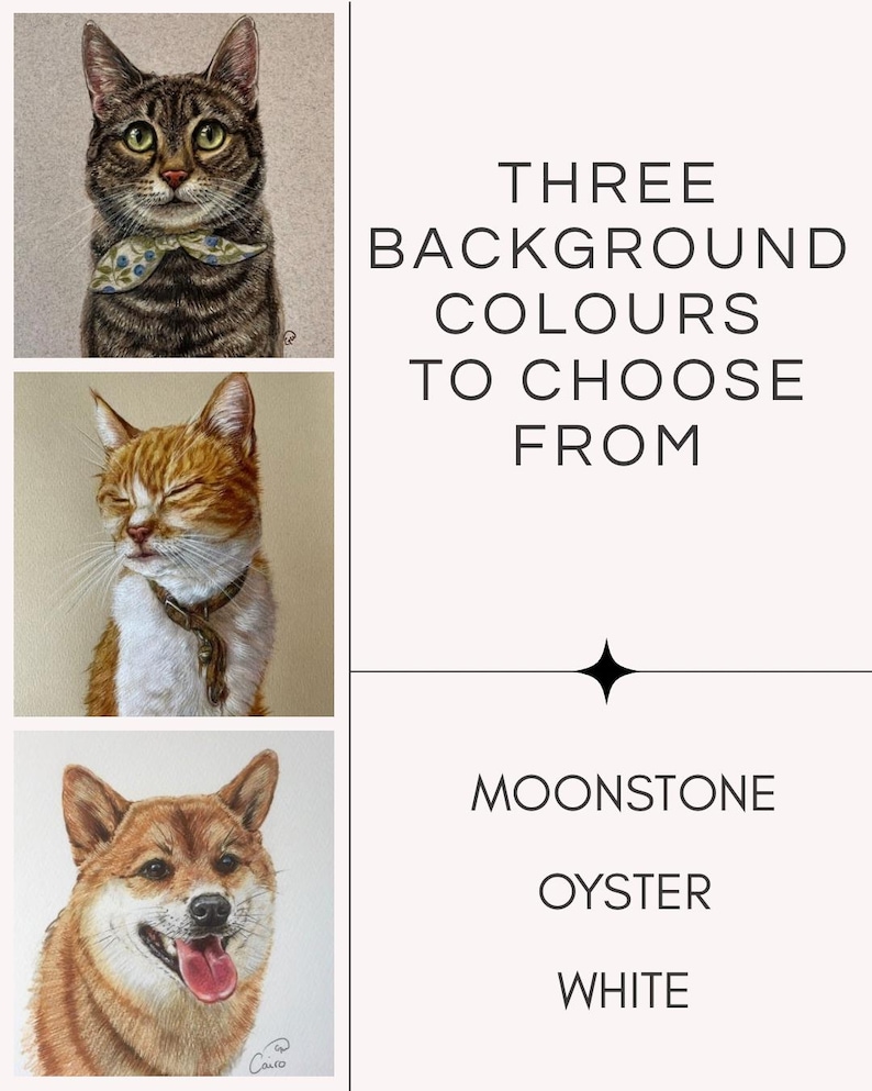 Puede incluir: Imagen vertical con tres retratos de mascotas: un gato atigrado con pajarita, un gato naranja y un perro Shiba Inu. El texto dice "TRES COLORES DE FONDO PARA ELEGIR" con opciones: Moonstone, Oyster y White.