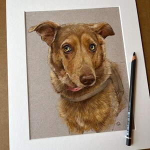 Puede incluir: Retrato detallado a l&aacute;piz de color de un perro con pelaje marr&oacute;n, ojos verdes y lengua rosa. La obra de arte est&aacute; enmarcada en blanco e incluye un l&aacute;piz negro apoyado en el marco. El perro es el foco central de la obra.