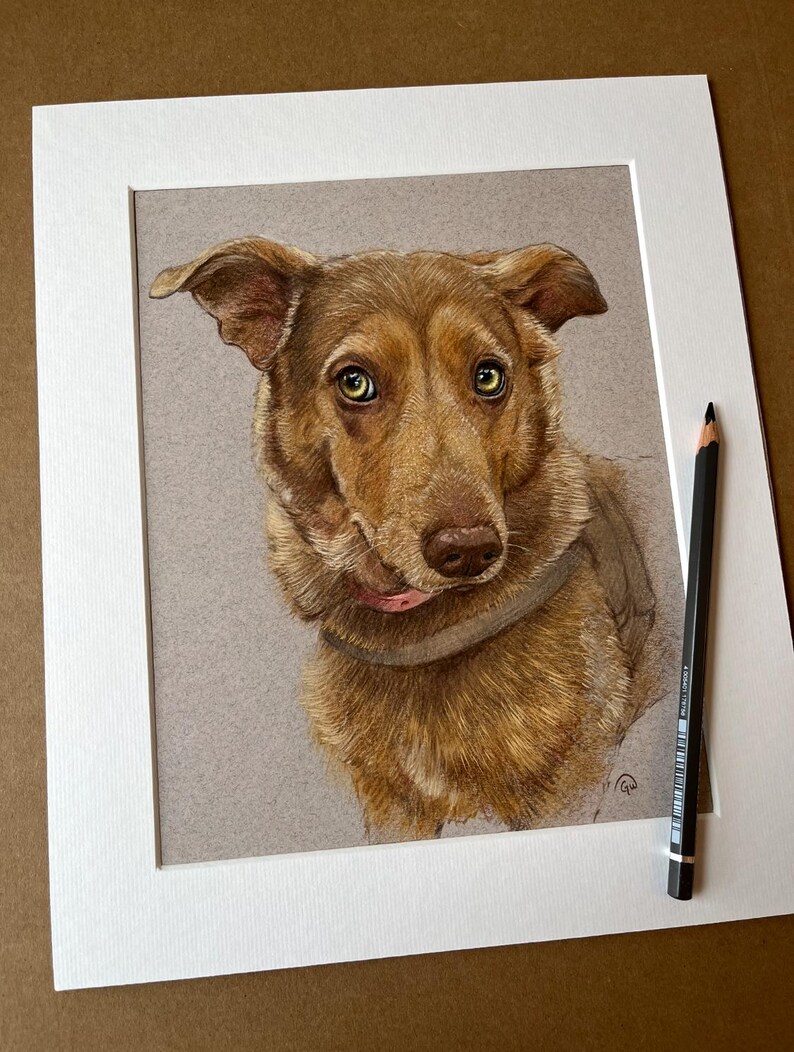Puede incluir: Retrato detallado a l&aacute;piz de color de un perro con pelaje marr&oacute;n, ojos verdes y lengua rosa. La obra de arte est&aacute; enmarcada en blanco e incluye un l&aacute;piz negro apoyado en el marco. El perro es el foco central de la obra.