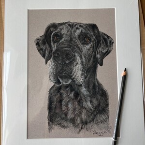 Puede incluir: Dibujo a l&aacute;piz detallado de la cabeza de un perro, con pelaje negro y gris y ojos marrones. La obra de arte est&aacute; enmarcada en blanco, con el nombre del perro, "Reggie", firmado en la esquina inferior derecha. Un l&aacute;piz descansa sobre el marco.