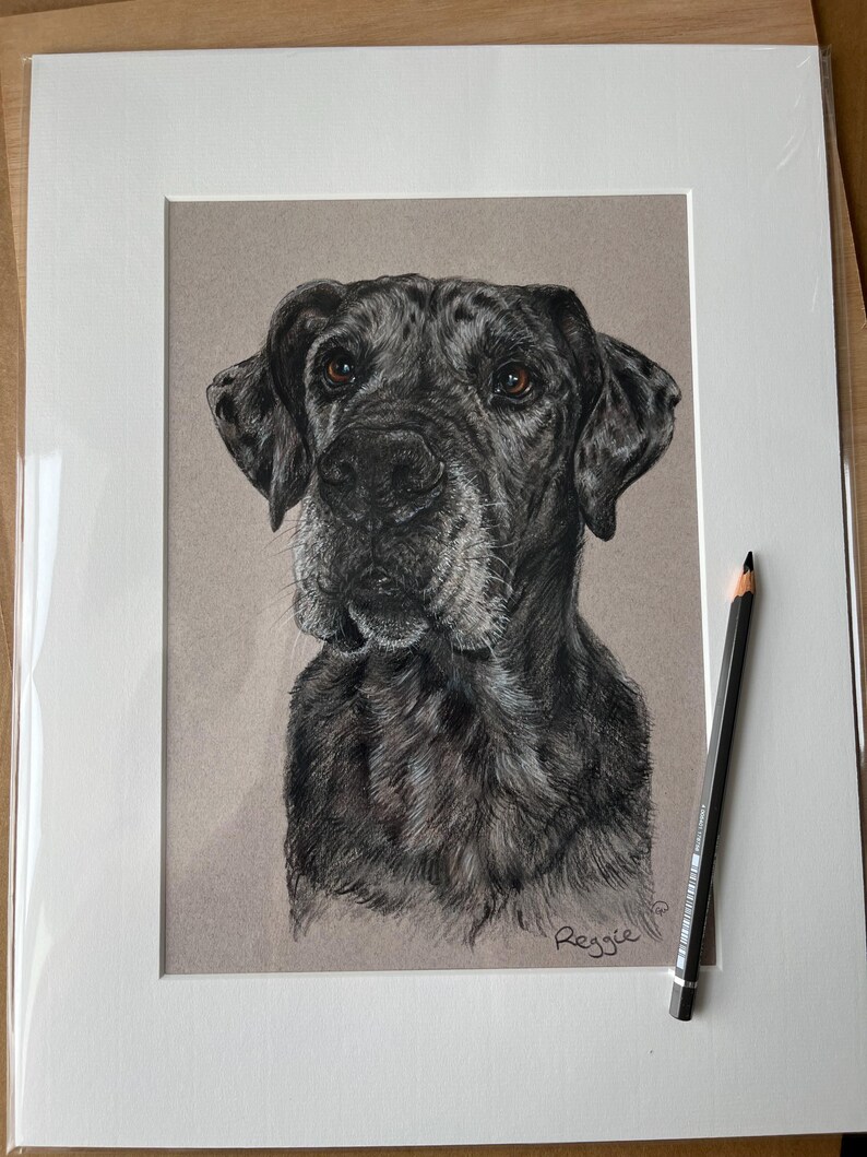 Puede incluir: Dibujo a l&aacute;piz detallado de la cabeza de un perro, con pelaje negro y gris y ojos marrones. La obra de arte est&aacute; enmarcada en blanco, con el nombre del perro, "Reggie", firmado en la esquina inferior derecha. Un l&aacute;piz descansa sobre el marco.