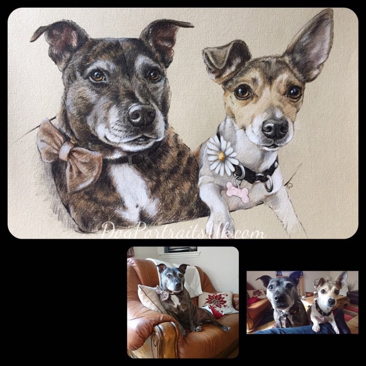 Two Dogs Portrait Double Pet Portrait, Two Dogs Together From Separate Photos. - Etsy
