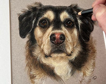 Hand Drawn Pet portrait custom dog art