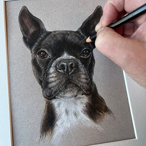 Puede incluir: Dibujo a l&aacute;piz de color de un bulldog franc&eacute;s en blanco y negro. La cara del perro est&aacute; centrada, con una mancha blanca en el pecho y una mancha blanca entre los ojos. El dibujo est&aacute; enmarcado en un passe-partout blanco.