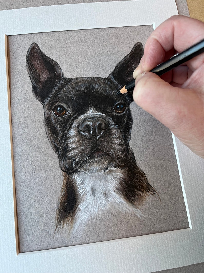 Puede incluir: Dibujo a l&aacute;piz de color de un bulldog franc&eacute;s en blanco y negro. La cara del perro est&aacute; centrada, con una mancha blanca en el pecho y una mancha blanca entre los ojos. El dibujo est&aacute; enmarcado en un passe-partout blanco.