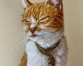 May include: A colored pencil drawing of an orange and white tabby cat with its eyes closed. The cat wears a brown collar with a small bell. The artist's signature, Doofy, is visible in the bottom left corner on a light tan paper background.