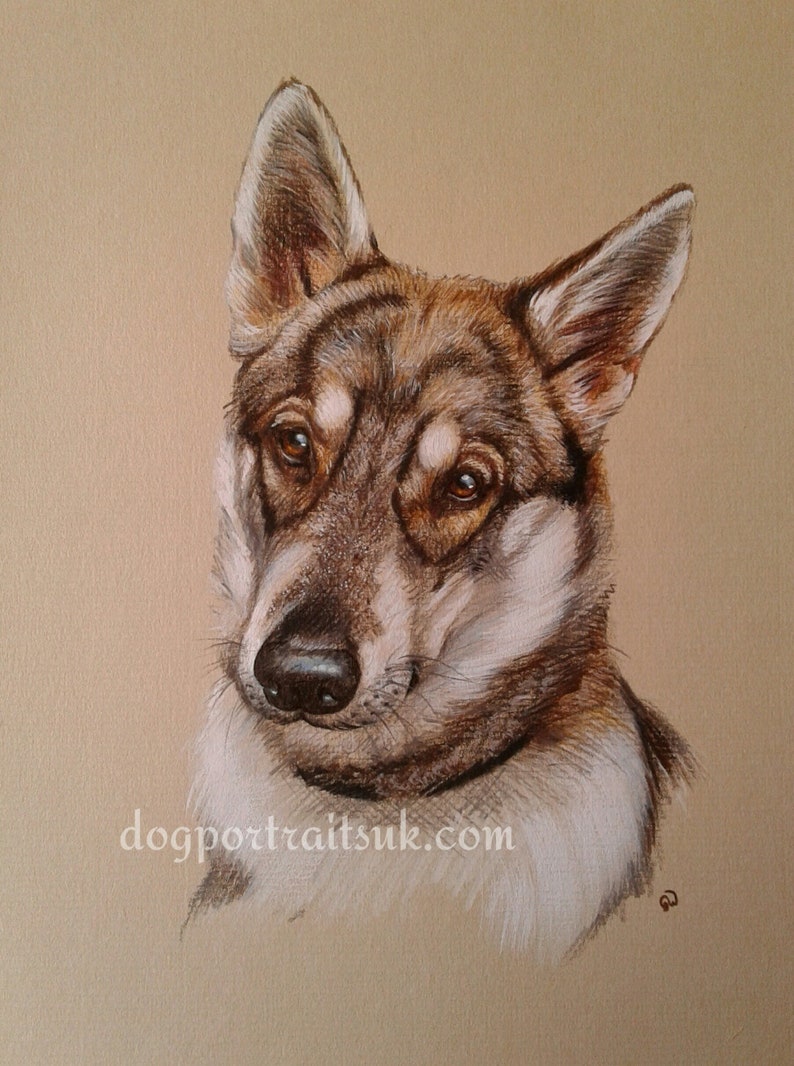 Pet portrait custom dog art